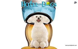 Hotel For Dogs